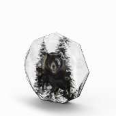 ジャグテリアタペストリーポスターアクリルプリントトリプチチ フォトブロック (右)