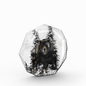 ジャグテリアタペストリーポスターアクリルプリントトリプチチ フォトブロック (左)