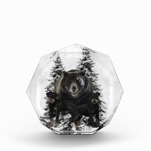 ジャグテリアタペストリーポスターアクリルプリントトリプチチ フォトブロック (正面)