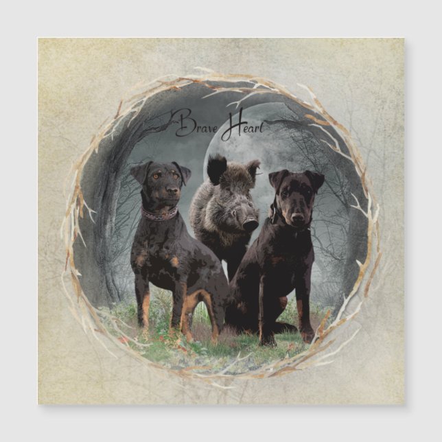 ジャグテリア、勇敢なハートタペストリーのポスターのアクリル (正面)