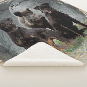 ジャグテリア、勇敢なハートタペストリーのポスターのアクリル シェルパブランケット (3/4)