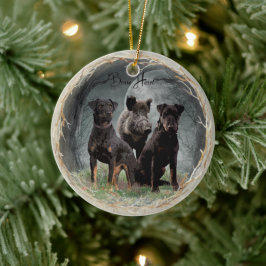 ジャグテリア、勇敢なハートタペストリーのポスターのアクリル セラミックオーナメント