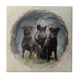 ジャグテリア、勇敢なハートタペストリーのポスターのアクリル タイル