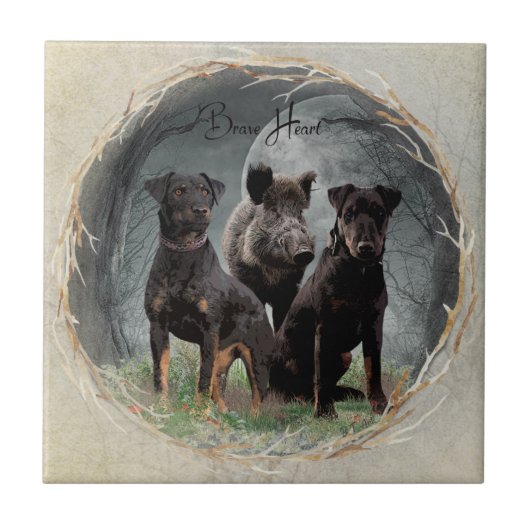 ジャグテリア、勇敢なハートタペストリーのポスターのアクリル タイル (正面)