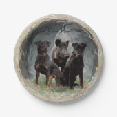 ジャグテリア、勇敢なハートタペストリーのポスターのアクリル ペーパープレート (正面)