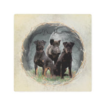 ジャグテリア、勇敢なハートタペストリーのポスターのアクリル