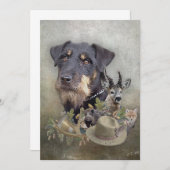 ジャグテリア 招待状 (正面/裏面)