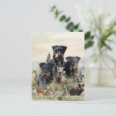 ジャグデリアV.レンブラド・ケネル シーズンポストカード (スタンド正面)