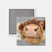 ジャグリングデイジーダフネ磁石 マグネット (正面/裏面)