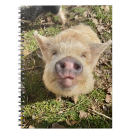 ジャグリングデイジーモナノート ノートブック