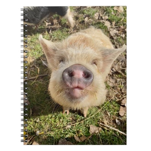 ジャグリングデイジーモナノート ノートブック (正面)