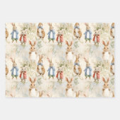 ジャケットのウサギ ラッピングペーパーシート (正面2)
