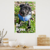 ジャケットを着た黒いパグの子犬 ポスター (キッチン)