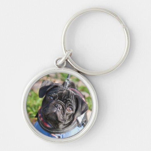 ジャケットを身に着けている黒いパグの子犬 キーホルダー (正面)
