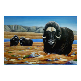ジャコウウシの絵画 カナダの野生動物 ポスター 印刷