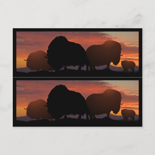 ジャコウウシのbookmarkers ポストカード (正面)