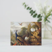 ジャコブボグダニピーコックピーエンパロツカナリア ポストカード (スタンド正面)