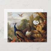 ジャコブボグダニピーコックピーエンパロツカナリア ポストカード (正面/裏面)