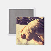 ジャジードッグマグネット マグネット (正面/裏面)