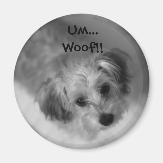 ジャジーマグネット マグネット (正面)