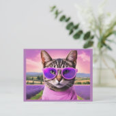 ジャジー子猫 – ラベンダーフィールド シーズンポストカード (スタンド正面)