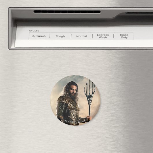 ジャスティスリーグ |戦場のアクアマン マグネット (インサイチュ (食洗機))