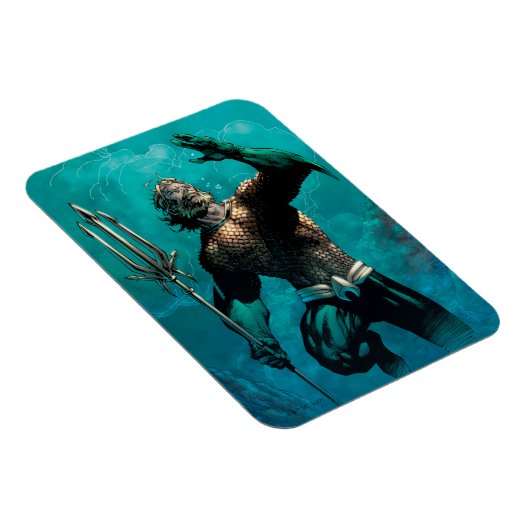 ジャスティスリーグ#10アクアマンドアースバリアント マグネット (右側)