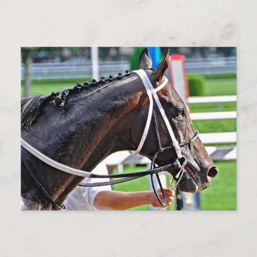 ジャスティン・フィリップがヴァンダービルトを捉える ポストカード (正面)