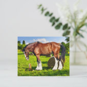 「ジャスティン&フレンド」ポストカード ポストカード (スタンド正面)