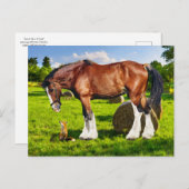 「ジャスティン&フレンド」ポストカード ポストカード (正面/裏面)