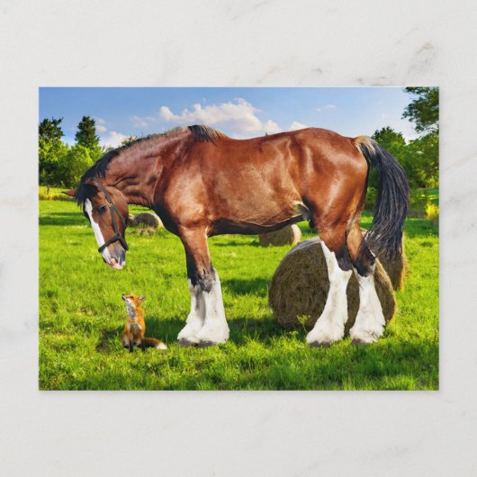 「ジャスティン&フレンド」ポストカード ポストカード (正面)