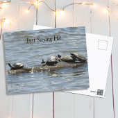 ジャストことわざこんにちは、かわいい亀が日光浴をする ポストカード