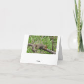 ジャストことわざこんにちは、友情かわいいリス カード (裏面)