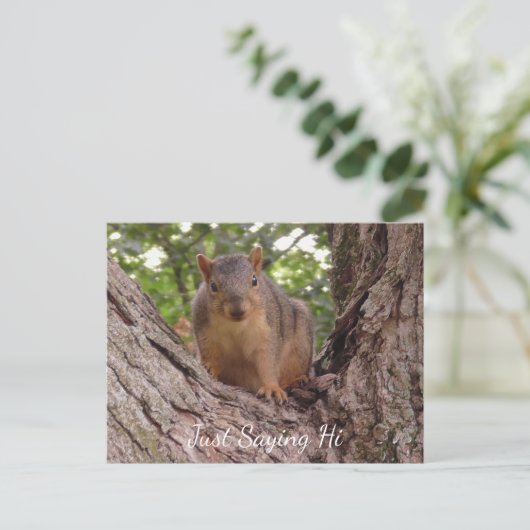 ジャストことわざこんにちは、木にかわいいリス ポストカード (スタンド正面)