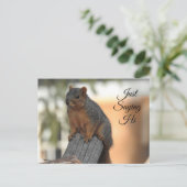 ジャストことわざハイ |かわいいリスの写真 ポストカード (スタンド正面)