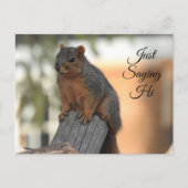 ジャストことわざハイ |かわいいリスの写真 ポストカード (正面)