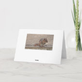 ジャストことわざハイ、可愛いチップムン恋しく思クキミのカード カード (裏面)