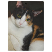 ジャストぶら下がったのまわりに クリップボード (裏面)