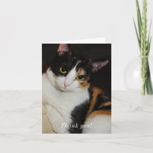 ジャストぶら下がったのまわりに サンキューカード (正面)