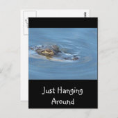 ジャストぶら下がったのまわりに ポストカード (正面/裏面)