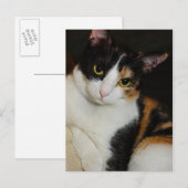 ジャストぶら下がったのまわりに ポストカード (正面/裏面)