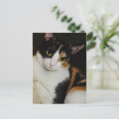 ジャストぶら下がったのまわりに ポストカード (スタンド正面)