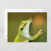 ジャストぶら下がったのまわりに ポストカード (正面/裏面)