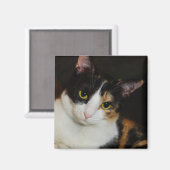 ジャストぶら下がったのまわりに マグネット (正面/裏面)