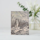 ジャストウイル ポストカード (スタンド正面)