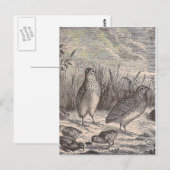 ジャストウイル ポストカード (正面/裏面)