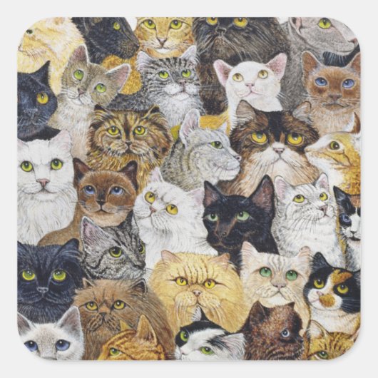 ジャストキャッツウィスカー スクエアシール (正面)