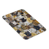 ジャストキャッツウィスカー マグネット (右側)