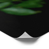 ジャストジョーハイブリッド茶バラ ポスター (角)