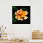 ジャストジョーハイブリッド茶バラ ポスター (キッチン)